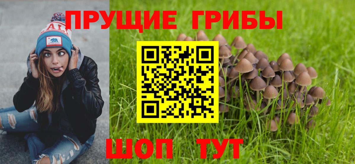 Галлюциногенные грибы Psilocybe  Вход с VPN  где купить   Советская Гавань 