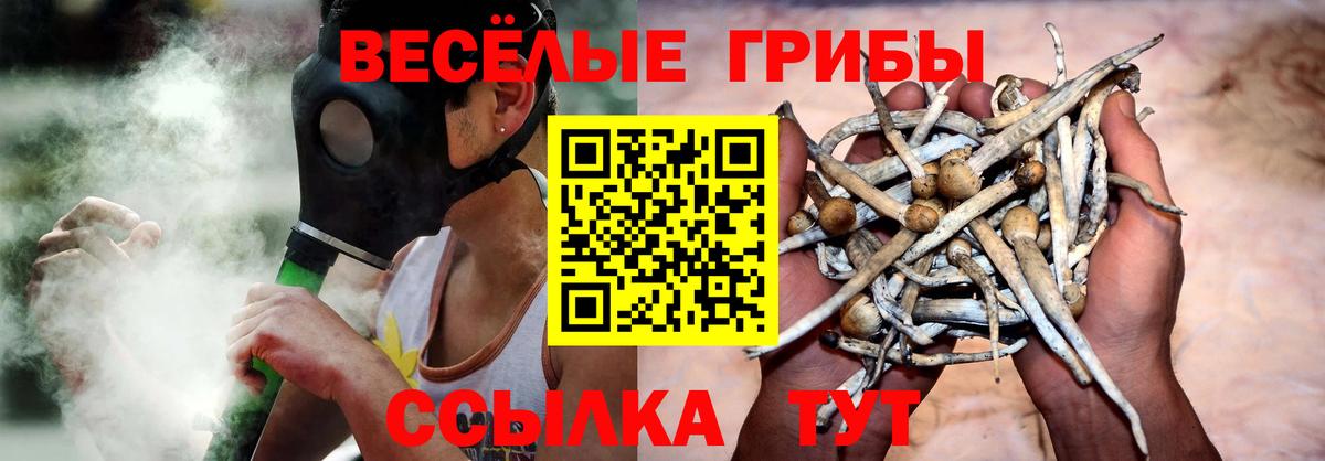 Псилоцибиновые грибы GOLDEN TEACHER Советская Гавань